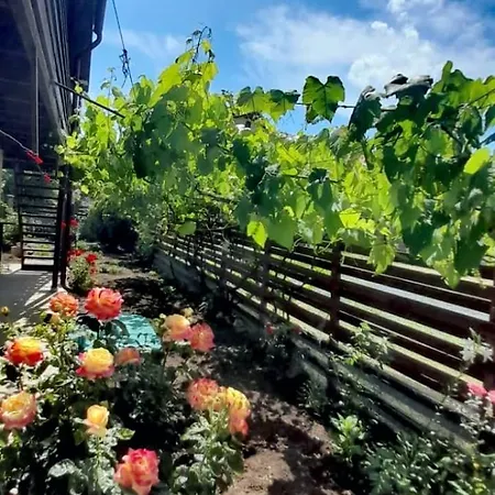 Kwatera prywatna Casa Calin Vama Veche