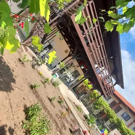 Casa Calin منزل للإقامة *