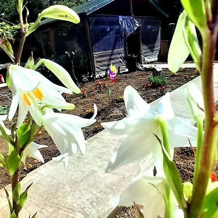 Casa Calin منزل للإقامة فاما فيكي